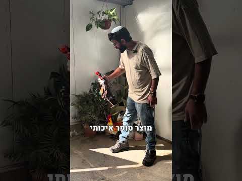 תרנגול ברזל דקורטיבי לעיצוב הבית והגינה - מגוון דגמים וגדלים לבחירה (40-53 ס"מ)