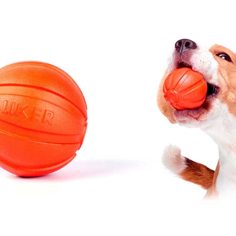 LIKER CORD- כדור משחק איכותי לכלב, קוטר 9 ס"מ, ללא חומרים רעילים, נוח למשחקי מסירה