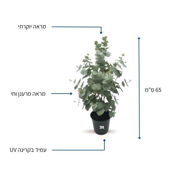 צמח מלאכותי אקליפטוס