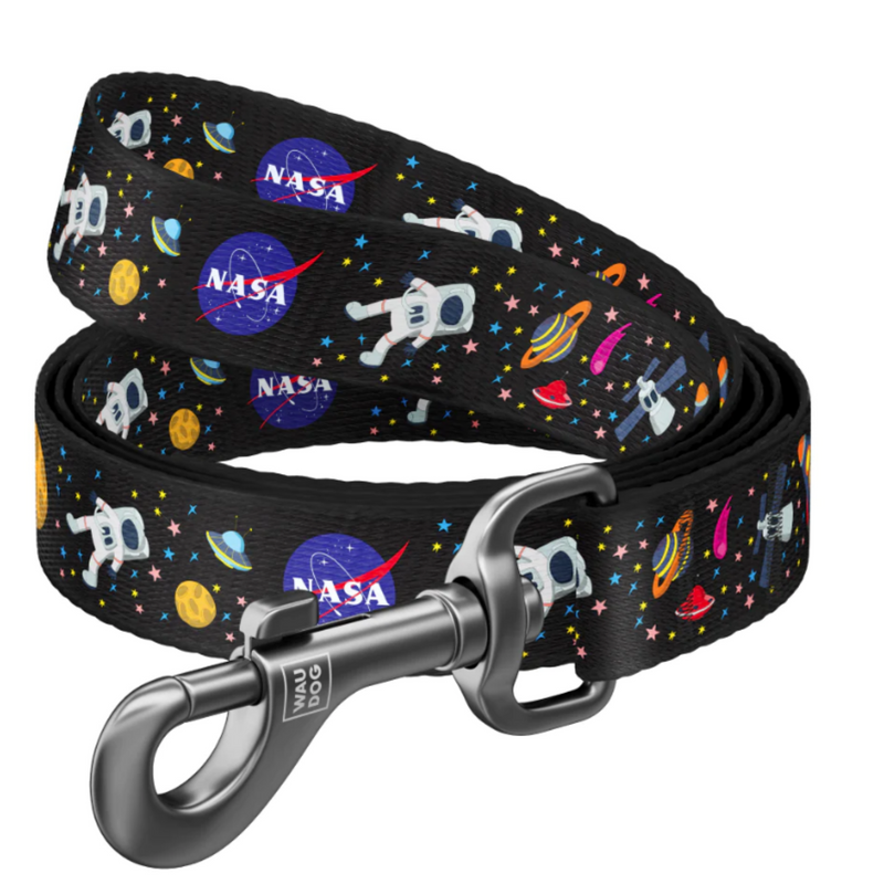 רצועה NASA לכלבים
