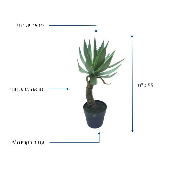 קקטוס מלאכותי חיצים 55 ס"מ