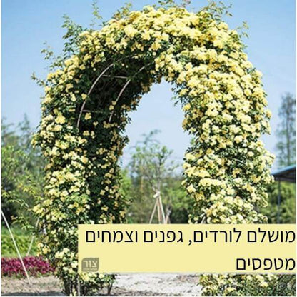 קשת לצמחים מטפסים 