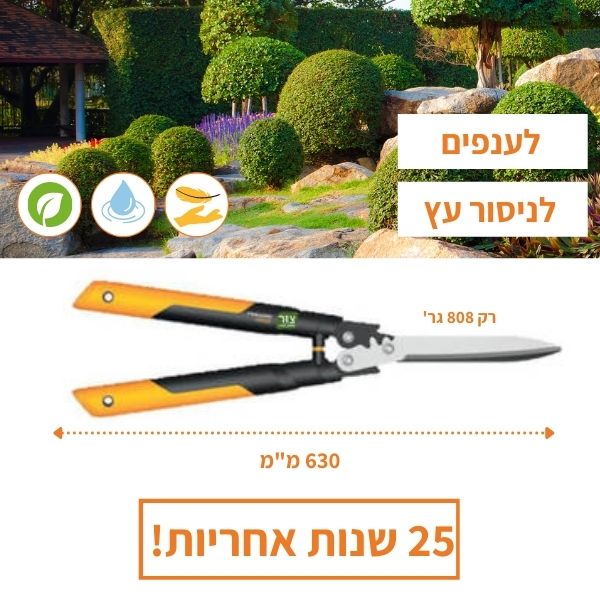 מידות מספרי גדר חיה