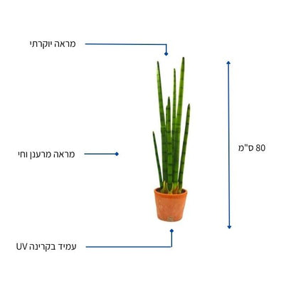 קקטוס מלאכותי מקלות 80 סמ