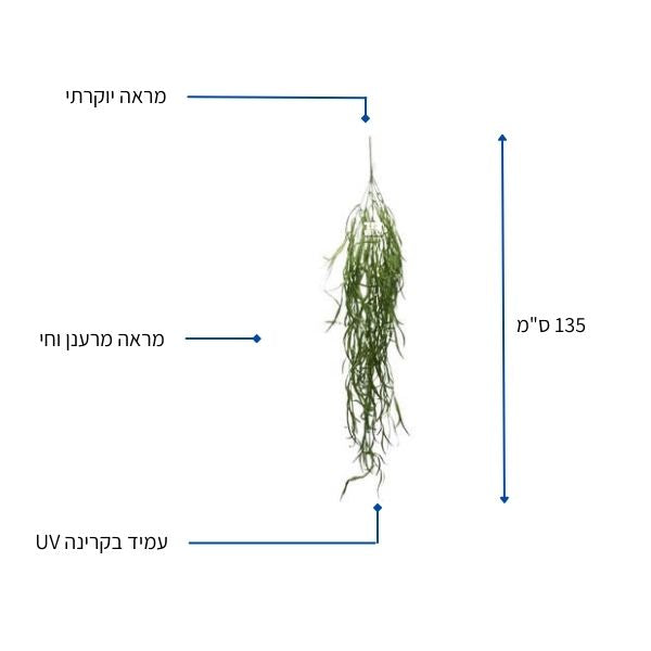 צמח מלאכותי ערבה בוכייה