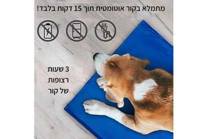 משטח קירור לכלב