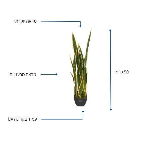 עציץ מלאכותי סנסיוווריה