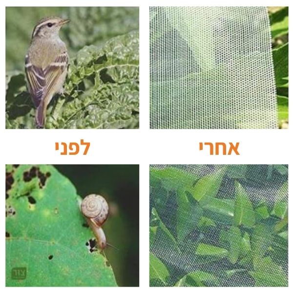 רשת מזיקים לקנייה אונליין