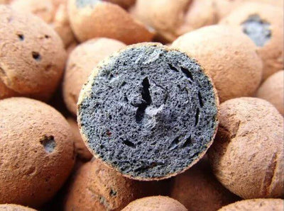 כדורי ליקה (הידרוטון), 20 ליטר, כדורי חרס איכותיים לגידול הידרופוני, מסייע להתפתחות הצמח