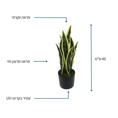 עציץ מלאכותי סנסיווריה