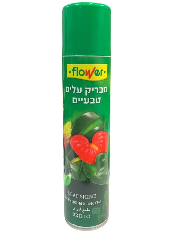 מבריק עלים