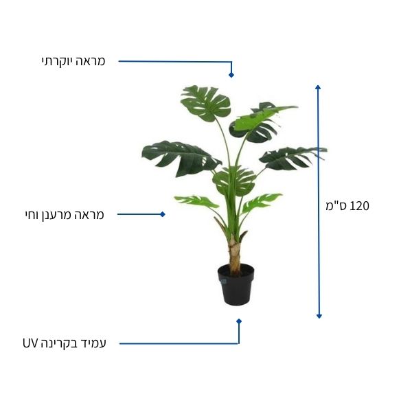 צמח מלאכותי מונסטרה 120 ס"מ