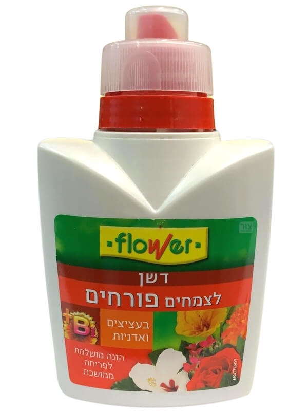 שן לצמחים פורחים