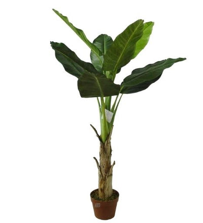 צמח מלאכותי בננה קטן 130