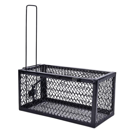 רשת חולדות מבית צור מרקט