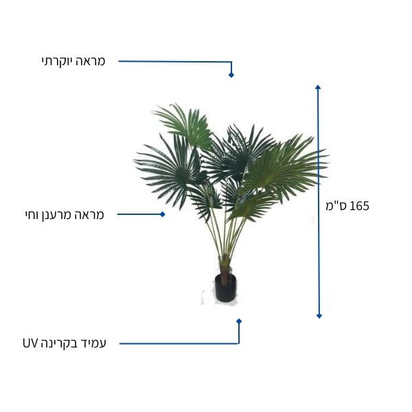 דקל וושינגטוניה מלאכותי