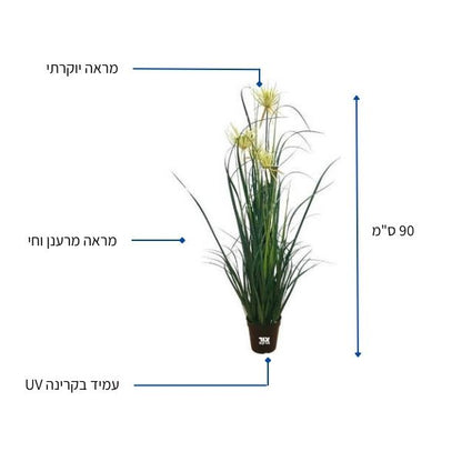 דרדר לבן 90 ס"מ