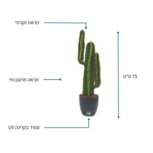 צמח מלאכותי קקטוס