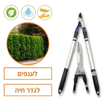 מארז שני כלים ומספרי גיזום עם ידיות