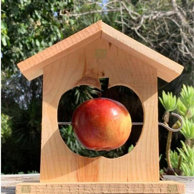 מתקן האכלת ציפורים - תפוח 18X6 ס''מ