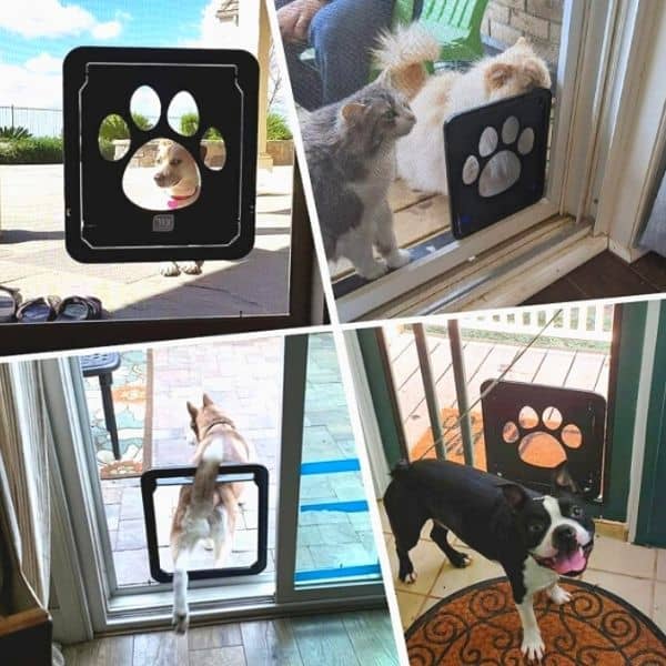 דלת לכלבים בינוניים וגדולים, 37X42 ס"מ, להתקנה על רשת, דלת איכותית וחזקה, מנגנון סגירה אוטומטית ונעילה