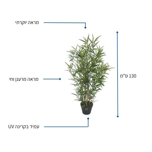 עציץ במבוק 130 ס"מ