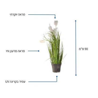 עציץ עלים לבן