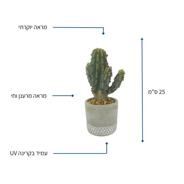 עציץ מלאכותי צבר קטן