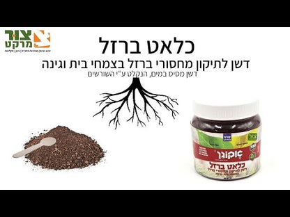 כלאט ברזל לרכישה אונליין