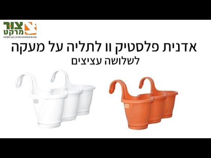  אדנית עציץ שלישיה