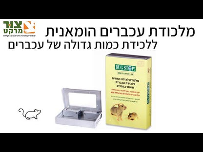 מולטי-קאצ', מלכודת עכברים הומאנית, ללכידת כמות גדולה של עכברים, מידות 26X16 ס"מ