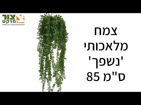 צמח מלאכותי נשפך מראה טבעי