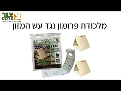 מארז 6 יח' מלכודת דבק עש המזון באמצעות משיכתם לפרומון